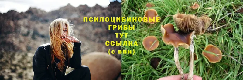 Псилоцибиновые грибы GOLDEN TEACHER  мега ONION  Азов 